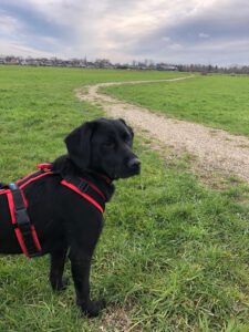 Karin namens hond Luna