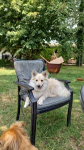 Carin namens hond Meili