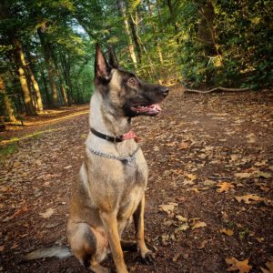 Familie uit Rijssen namens hond Nina