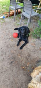 Jetteke namens hond Roet