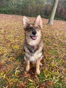 Annemarie namens hond Tommy